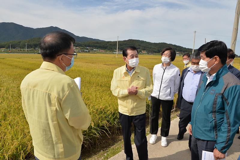 강화섬쌀_브랜드_원료곡_품종선정_사업_현장확인_(20)