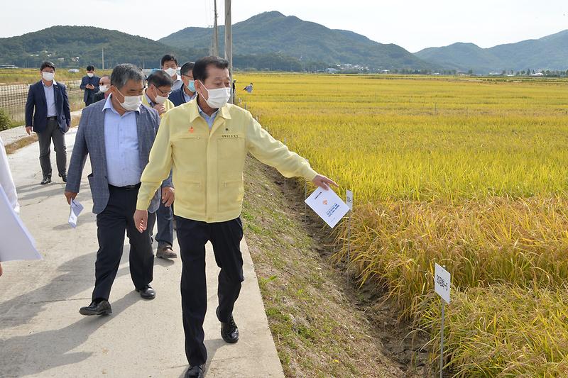 강화섬쌀_브랜드_원료곡_품종선정_사업_현장확인_(7)