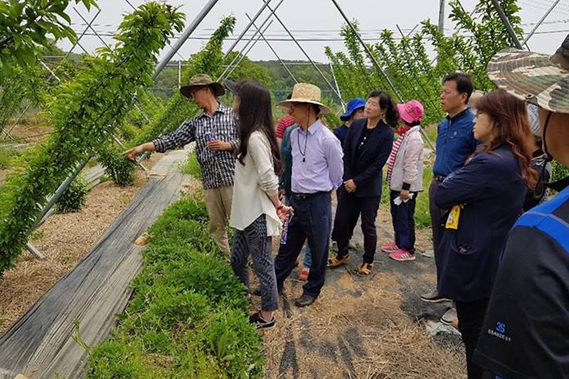 강소농_농가현장코칭(2019)