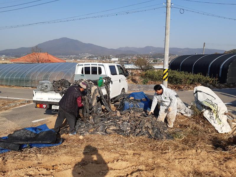 길상면_영농페기물수거_(2)