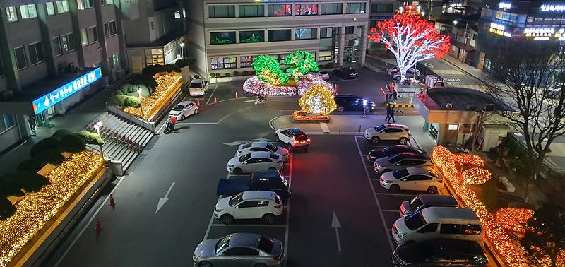 군청앞_빛_정원