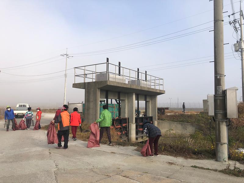 교동면_하천하구_환경정화_사진1_(2)