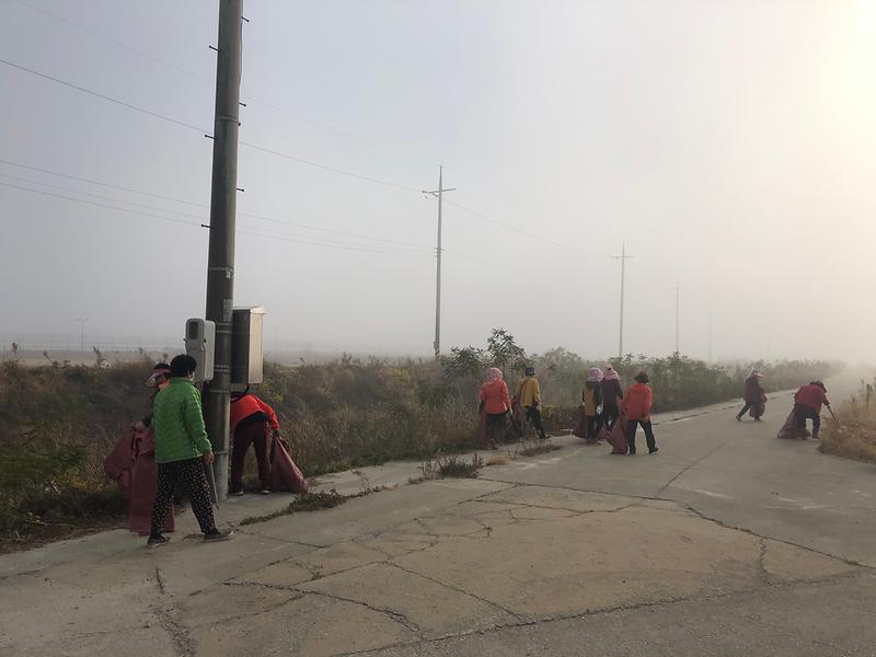 교동면_하천하구_환경정화_사진1_(3)