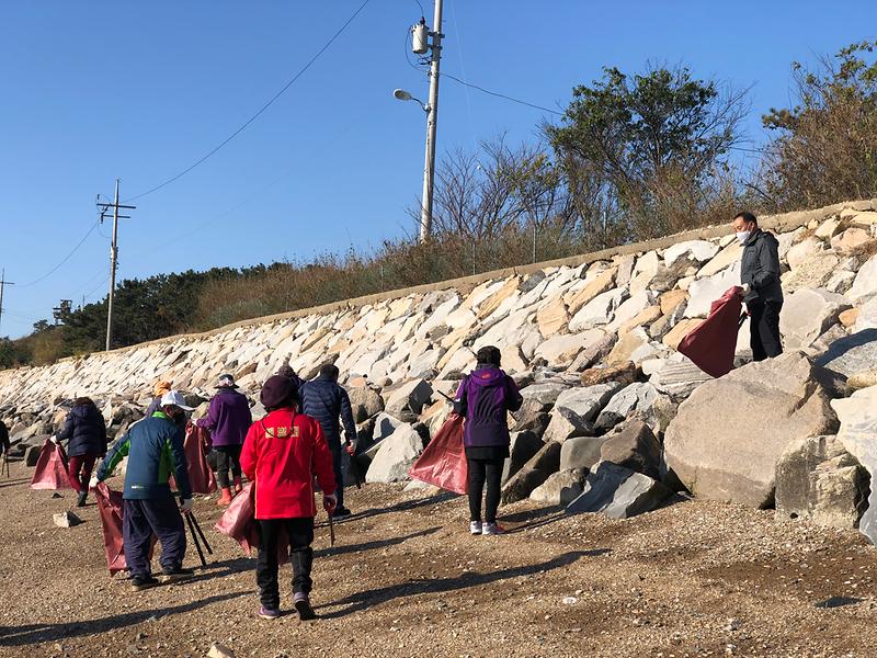 교동면_환경정화_(1)