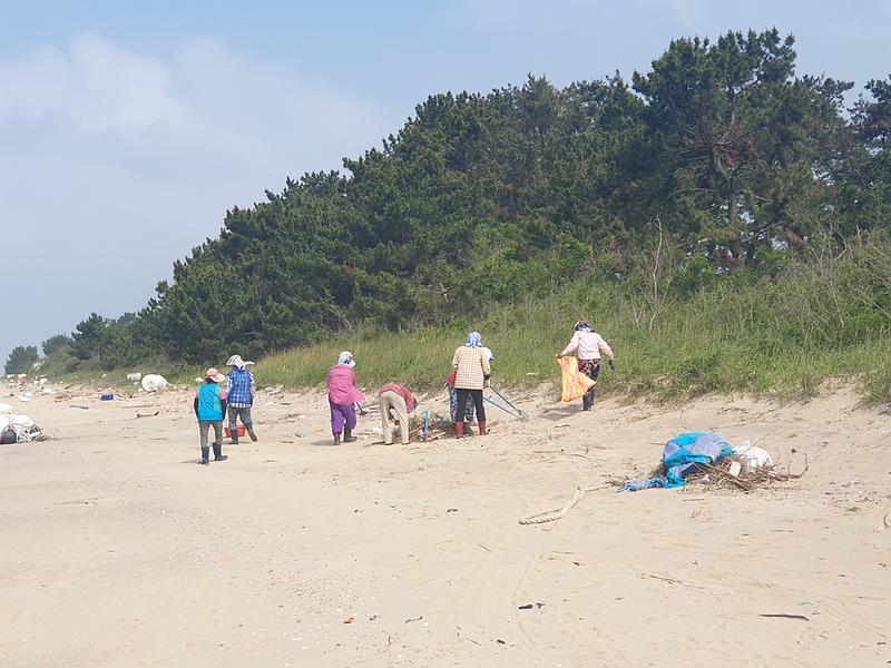 해안쓰레기_수거2