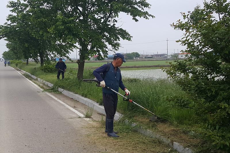 하점면_도로변_제초작업