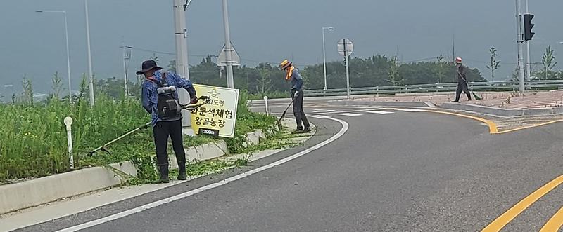 하점면_제초작업(8