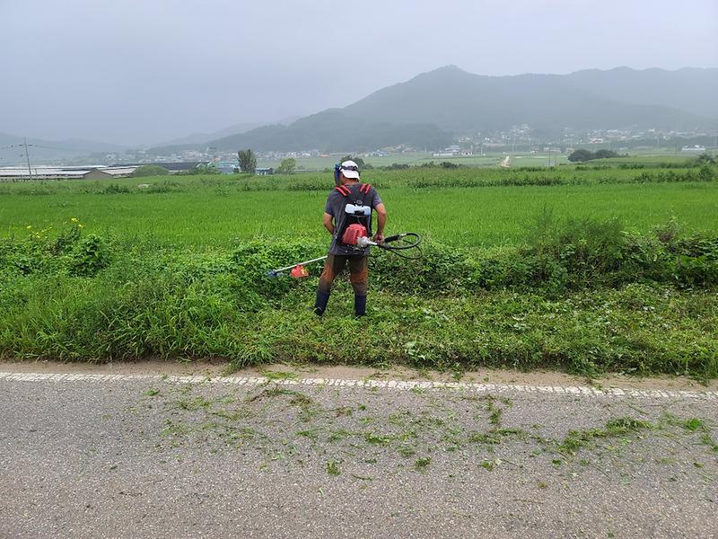하점면_제초작업(8