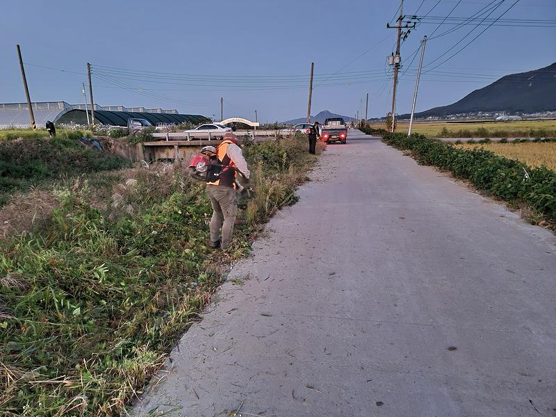 하점면_생태계교란_퇴치사업1