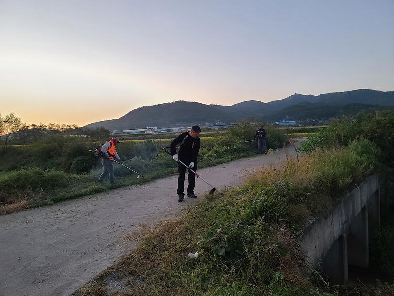 하점면_생태계교란_퇴치사업2