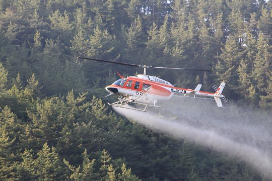 항공방제_모습(산림청_제공)