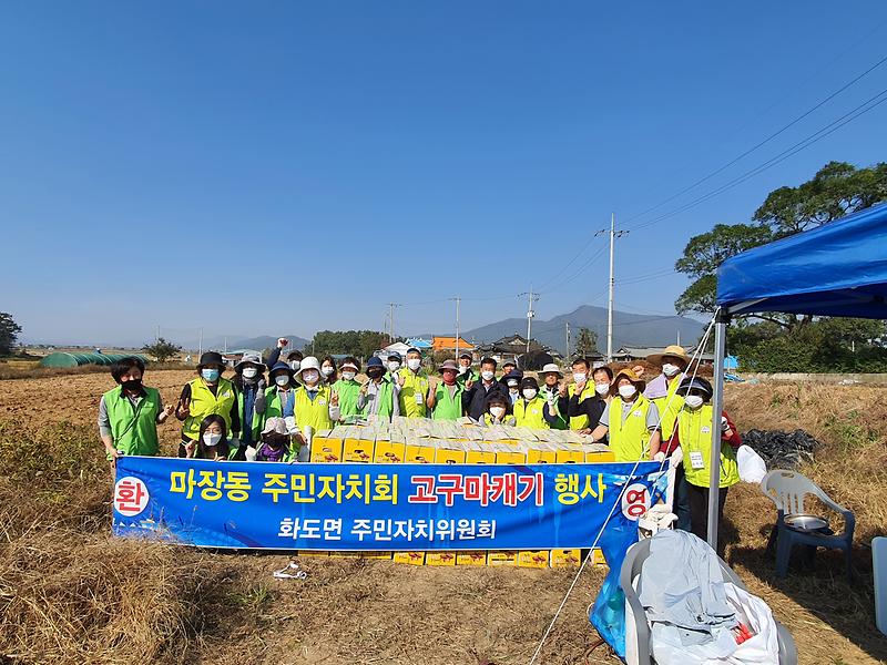 화도면_고구마_(2)