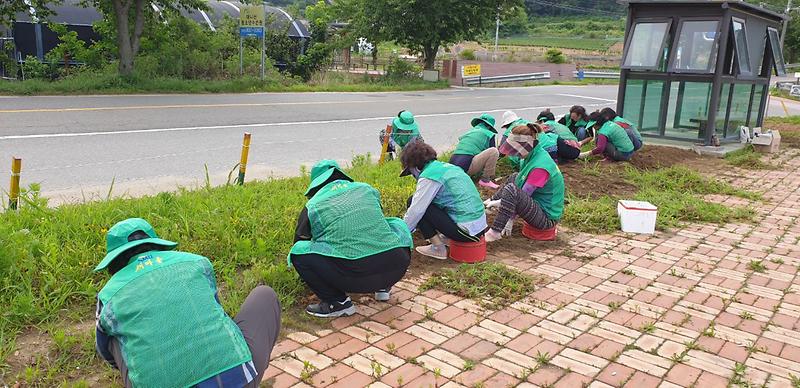 화도면_환경정화(새마을부녀회)