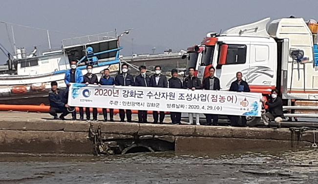 점농어_치어_방류_