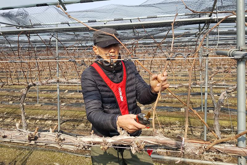 전동가위_현장활용_사진