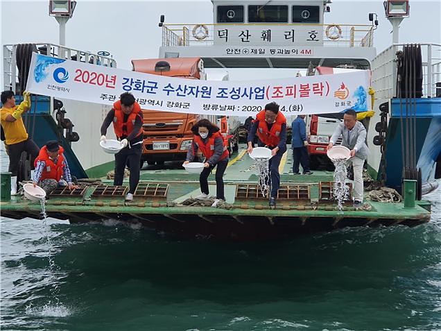 조피볼락_치어_방류