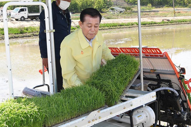 모내기_행사_(1)