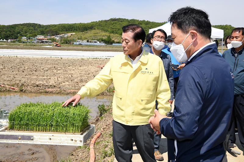 모내기_행사_(2)