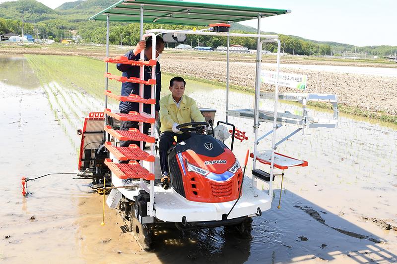 모내기_행사_(3)