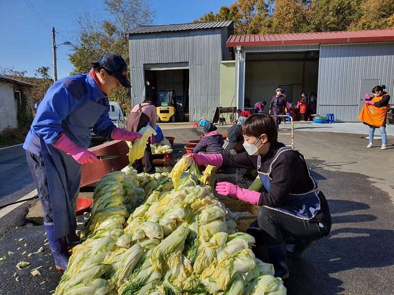 내가면_김장김치나눔_(2)