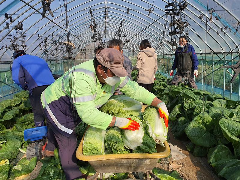 내가면_주민자치위_(2)