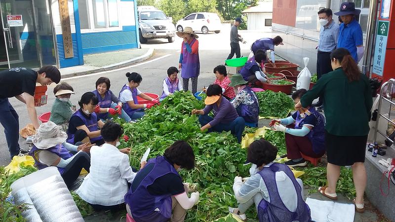 내가면_사랑의_김치나눔_(1)