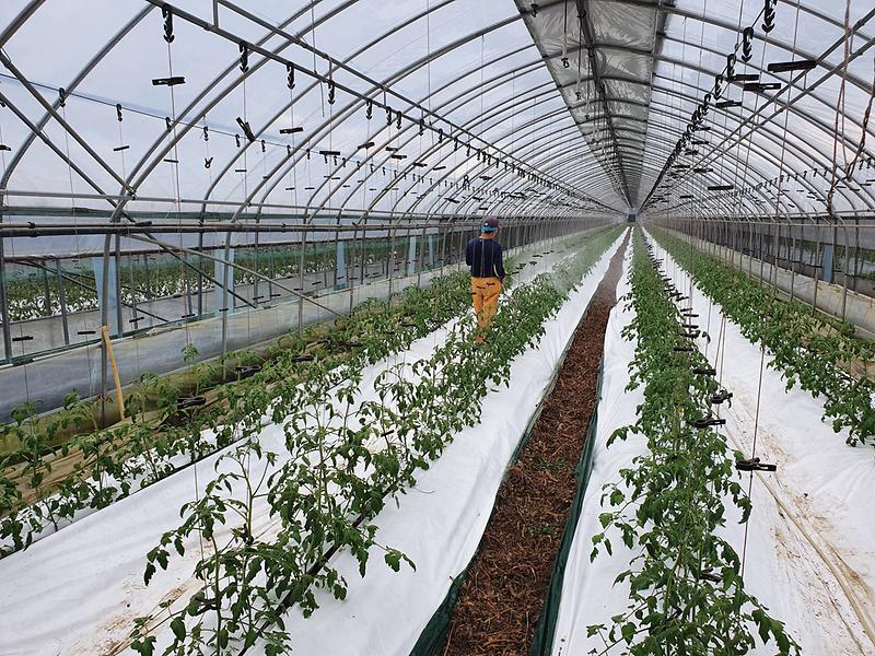 농업기술센터_병해충_방제