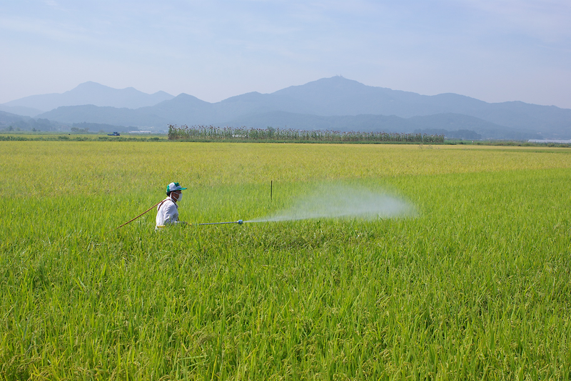 농업기술센터_병해충_방제
