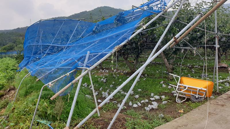 농업기술센터_태풍피해_(2)