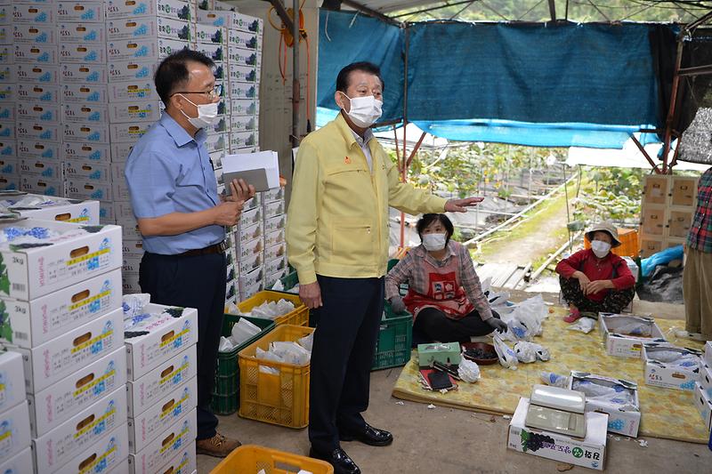 포도농가_방문_(11)