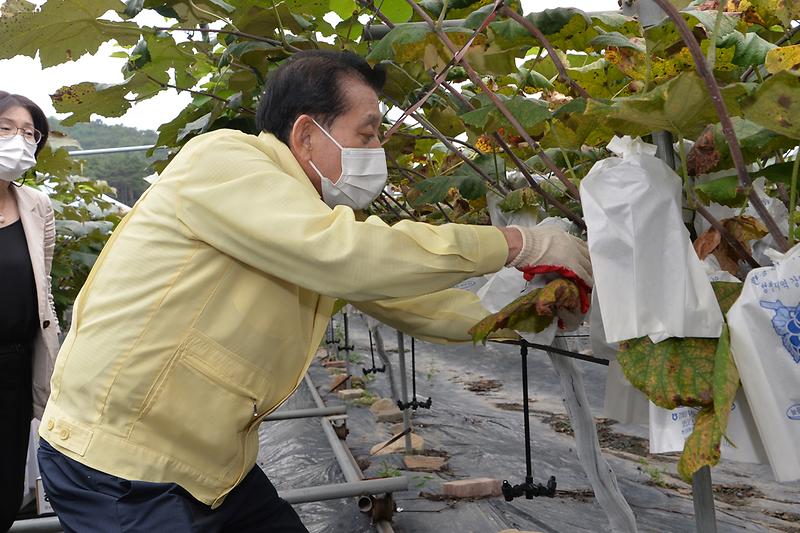 포도농가_방문_(6)