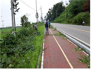 삼산면_환경정화_2