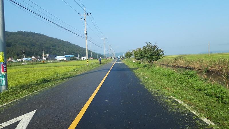 삼산면_제초작업_(1)