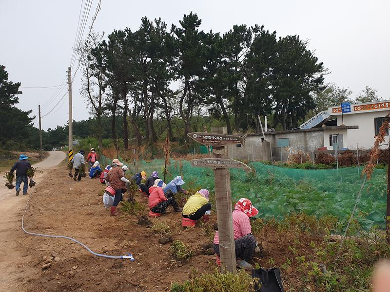 서도면_환경정비