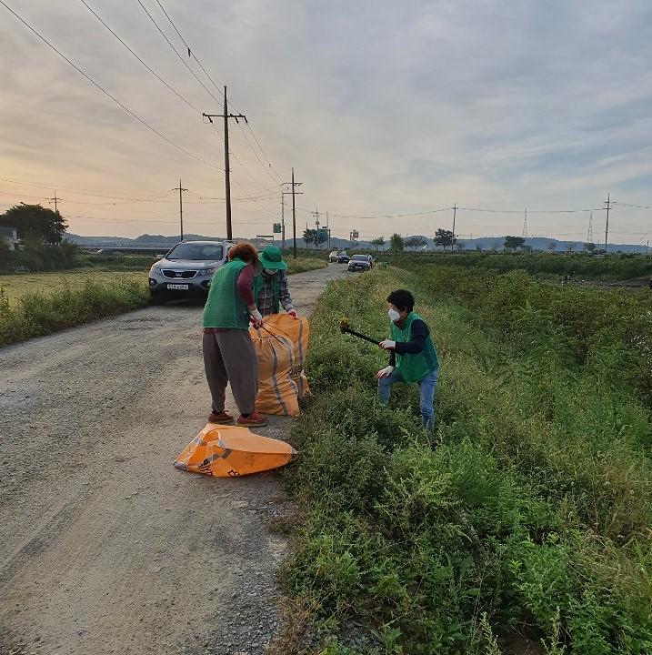 선원면_환경정화_(1)