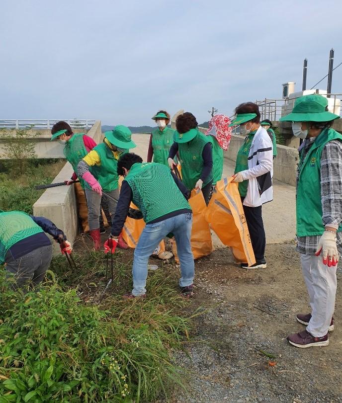 선원면_환경정화_(2)