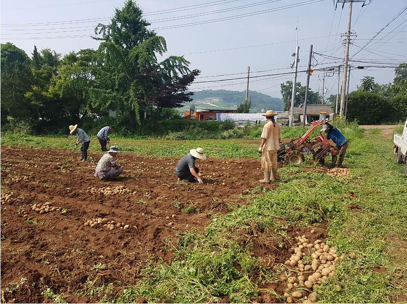 선원면_주민자치위원회_(1)
