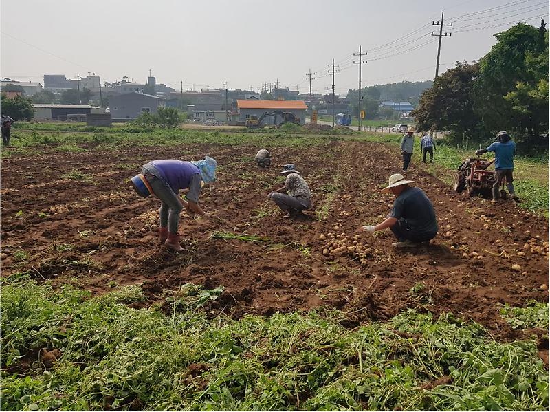 선원면_주민자치위원회_(2)