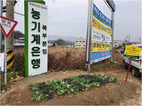 송해면_화단조성