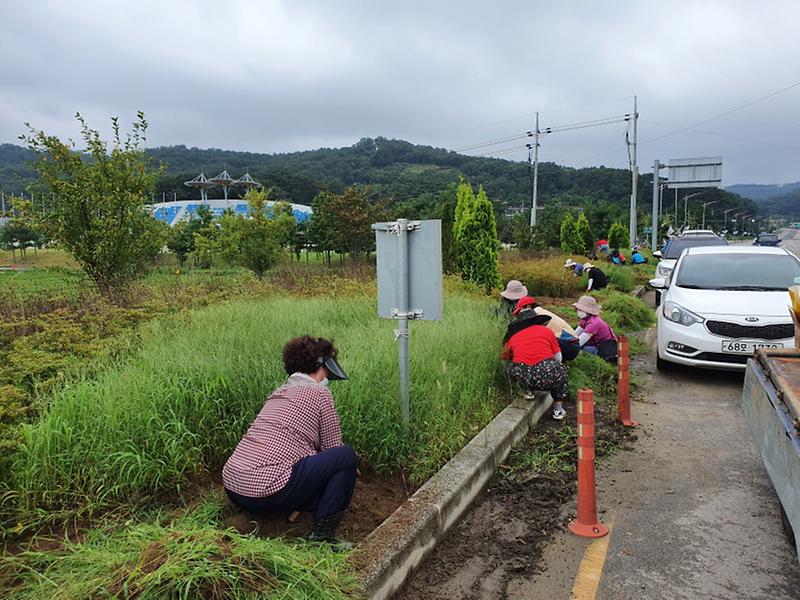 송해면_제초작업1