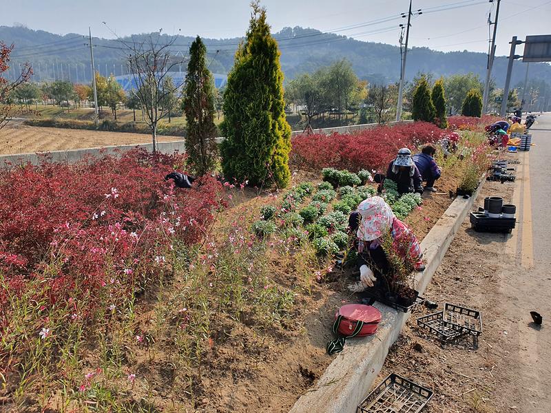 송해면_꽃길정비_(1)