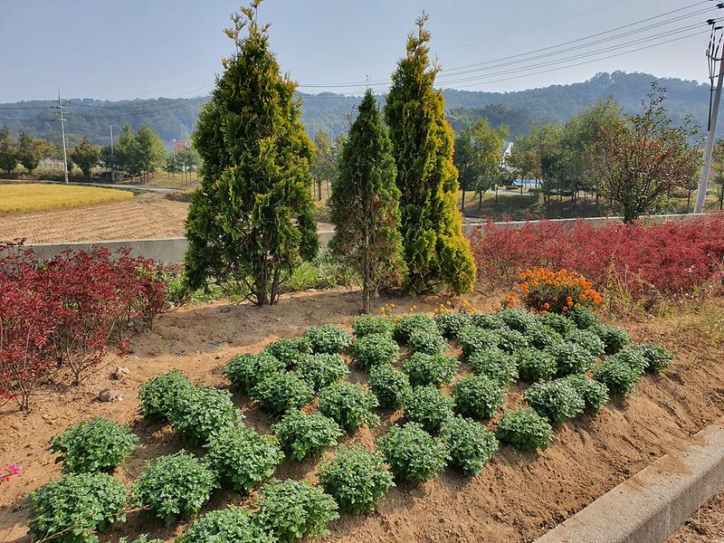 송해면_꽃길정비_(2)