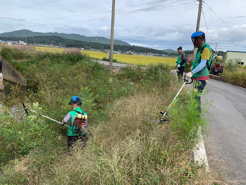 송해면_생태계교란식물제거_(3)