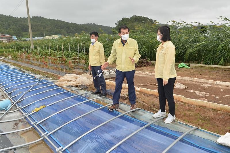 태풍피해현장_확인_(8)