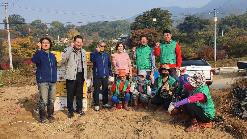 양도면(지도자협의회고구마캐기1)