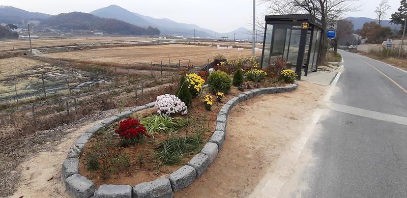 양사면_클린화단_(4)