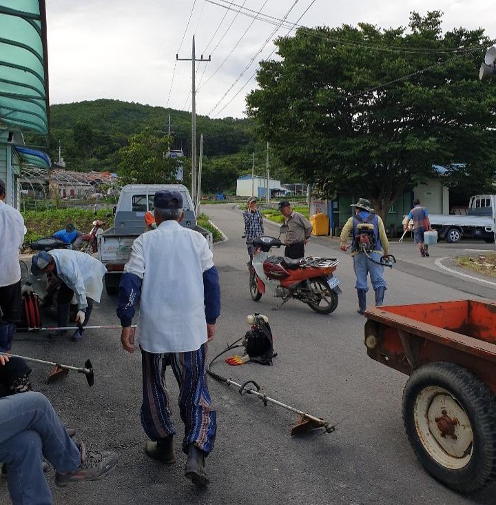 양사면_덕하3리_환경정화_(1)