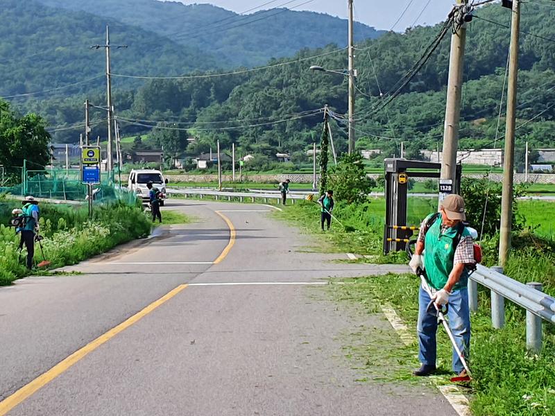 양사면_환경정비1