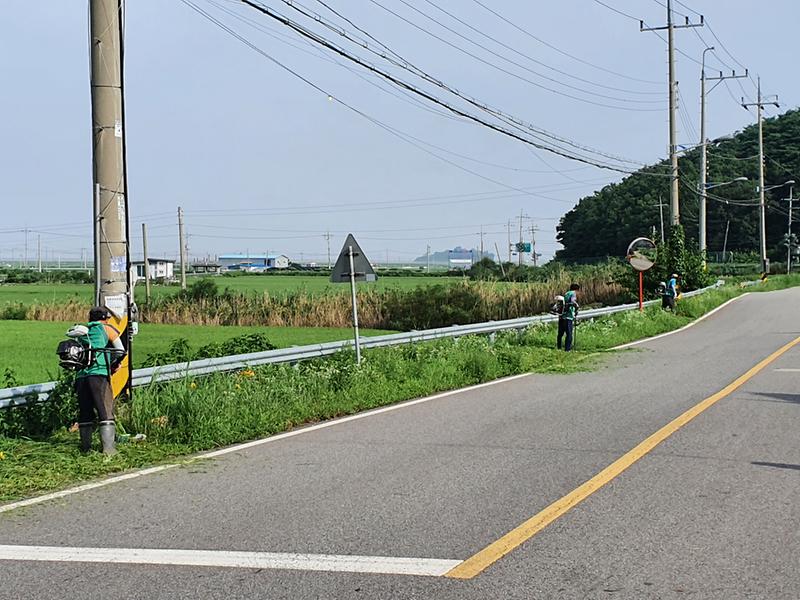 양사면_환경정비2