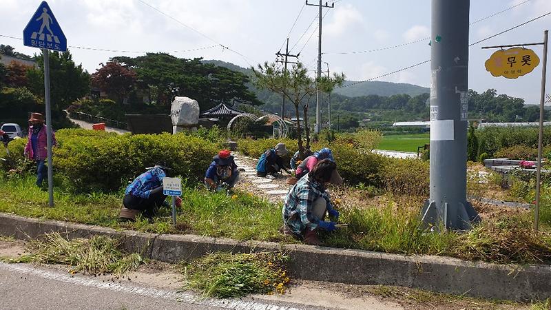 양사면_환경정비_(2)